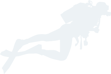 b体育官网