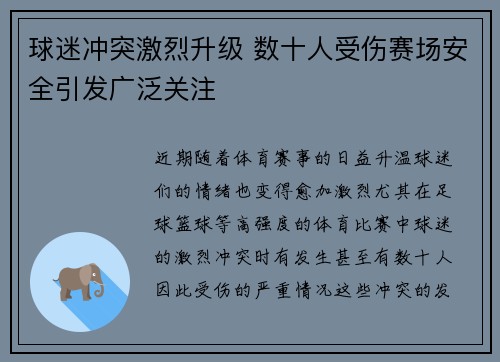 球迷冲突激烈升级 数十人受伤赛场安全引发广泛关注